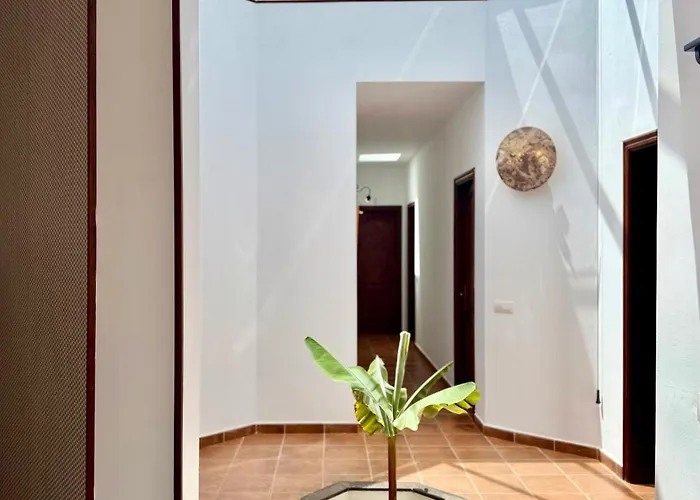 Canaryislandshost I Tauco Feriehus